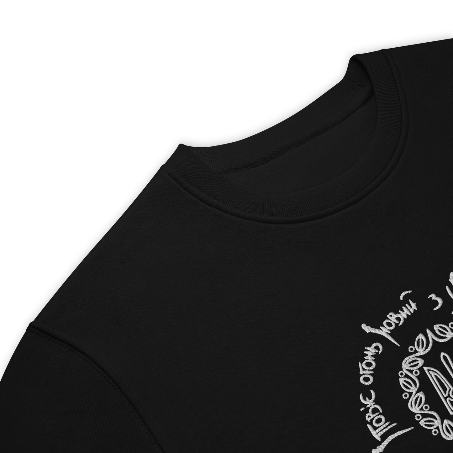 Unisex eco sweatshirt холодний яр with embroidery in black